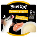 YOWUP FROZEN YOGURT SALMON TARTAR