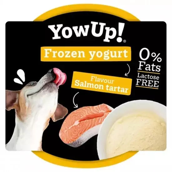 YOWUP FROZEN YOGURT SALMON TARTAR