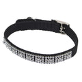 Coleira Coastal Jewels Black