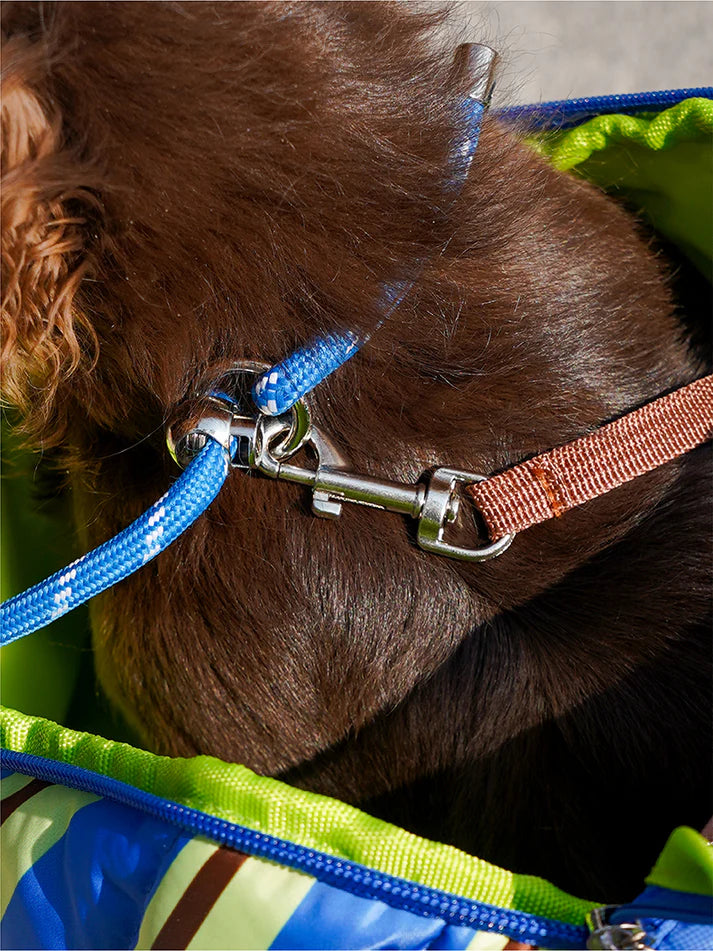 Bolsa de Transporte para Pets Listras Retrô Azul - Zeze