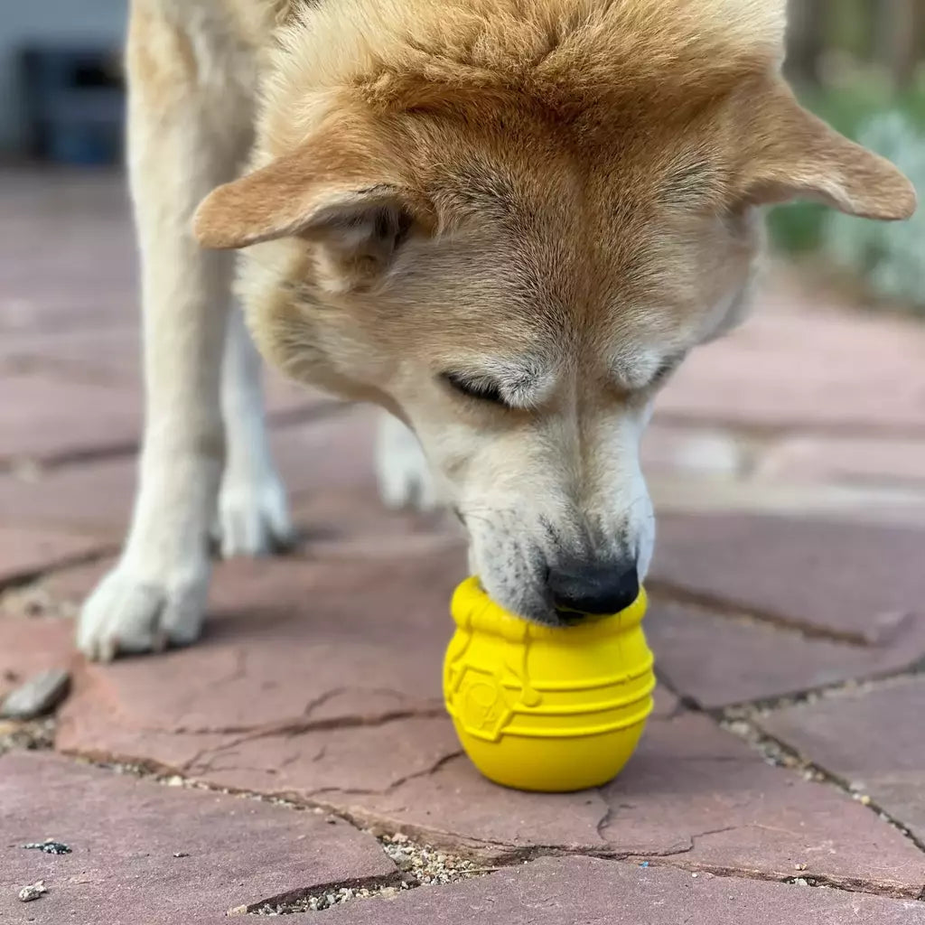 Soda Pup Honey Pot Brinquedo Para Cães Recheável