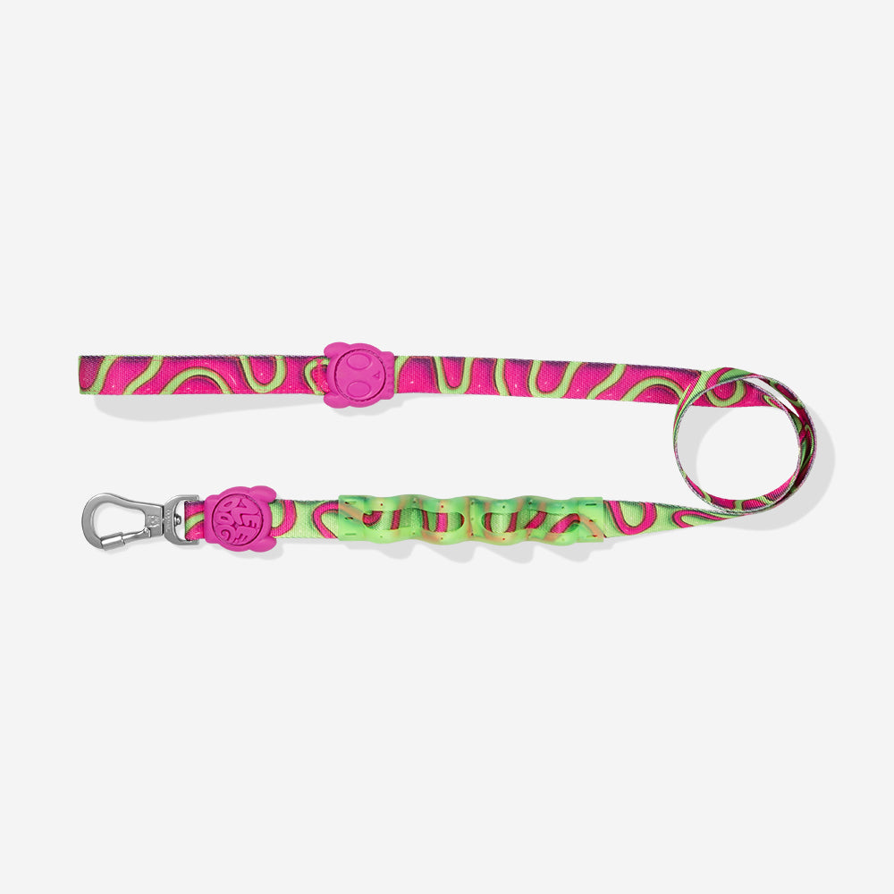 Guia Zeedog Com Amortecedor Ruff Leash HD3 Jelly