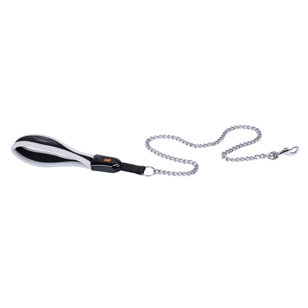 Guia com Corrente para Cachorros Ergocomfort Metal GM20/105 Ferplast