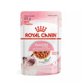 Ração Úmida Royal Canin Kitten para Gatos Filhotes - 85 g