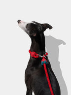 Vetreska Connect Strawberry Hands-Free Rope Leash for Pets - Guia de Mãos Livres