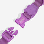 Coleira para Cachorros NeoPro Ultra Violet Zee.Dog