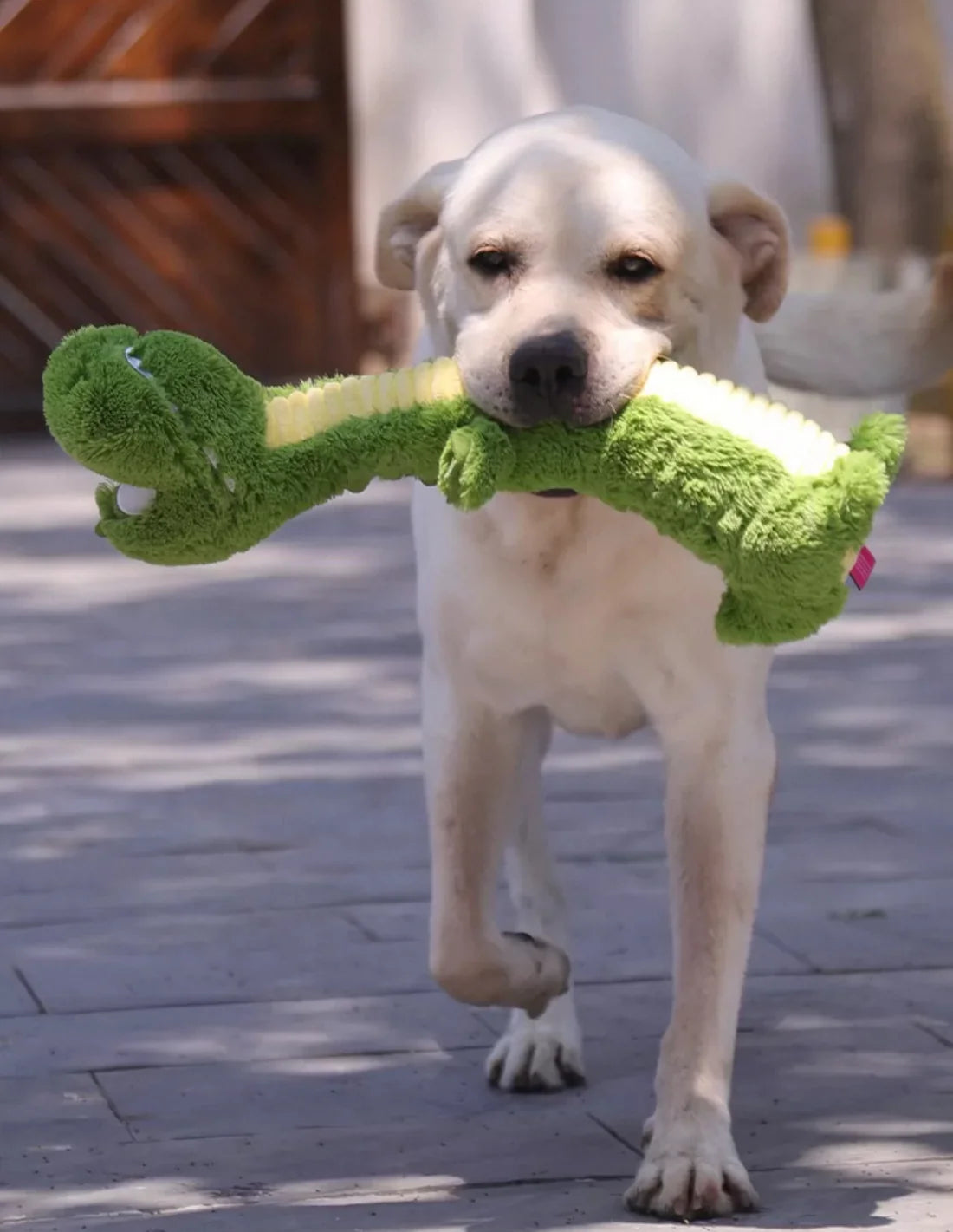 Pelucia Para Cães PETTA - Qmonster Crocodilo de Pescoço Longo