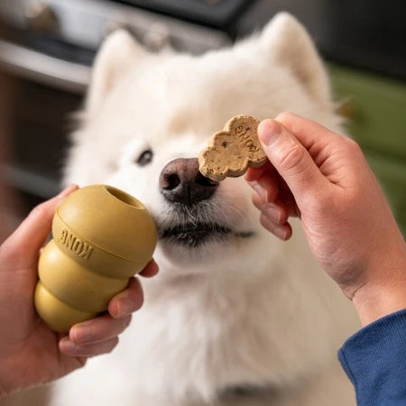 KONG Classic Edição Comemorativa 50 Anos – Brinquedo Recheável para Cães