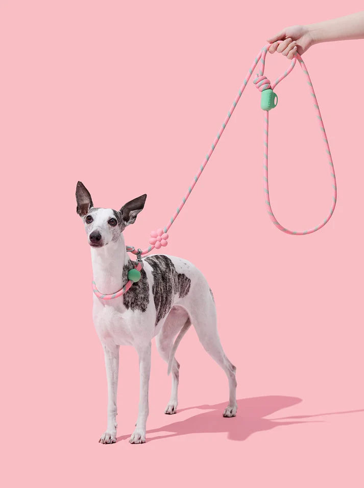 Vetreska Connect Flora Hands-Free Rope Leash for Pets - Guia de Mãos Livres