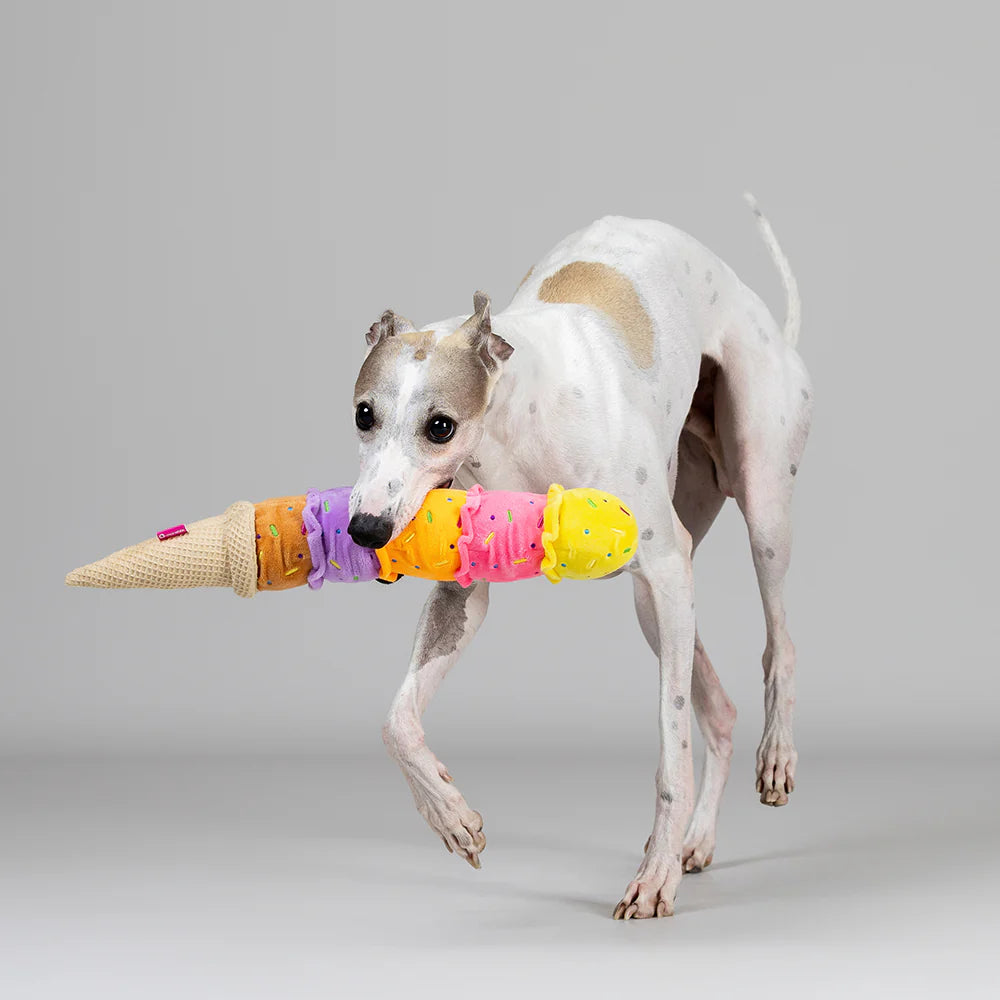 Qmonster Brinquedo para cachorro - Sorvete Cascão Colorido