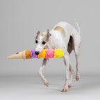 Qmonster Brinquedo para cachorro - Sorvete Cascão Colorido