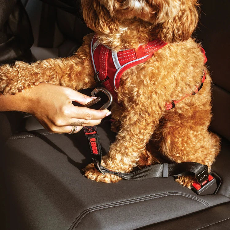 Kong Travel Seatbelt Cinto de segurança