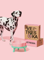 Vetreska Tigela de Cerâmica Flora Para Cães