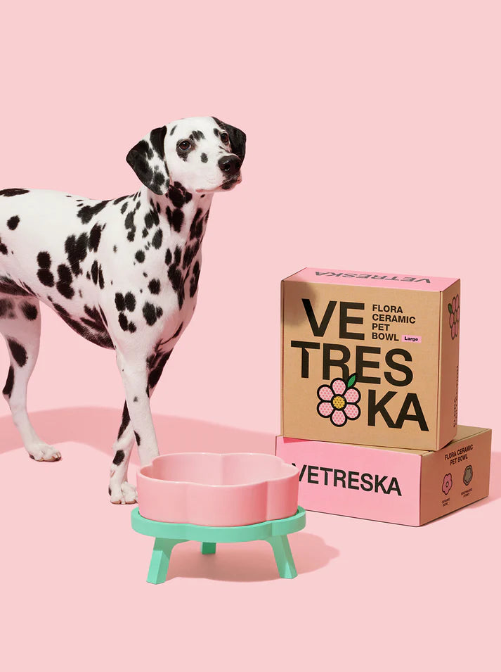 Vetreska Tigela de Cerâmica Flora Para Cães
