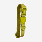 Coleira para Cachorros NeoPro Matcha Zee.Dog