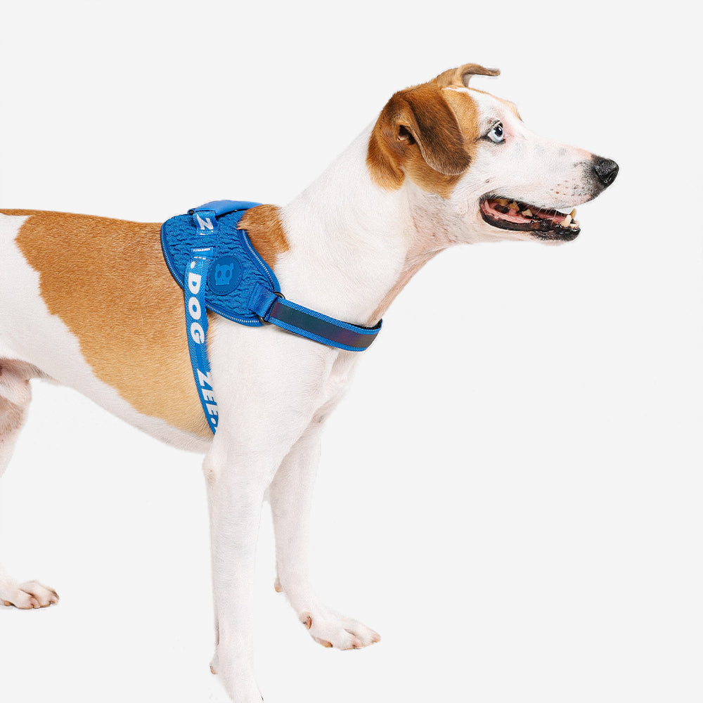 Peitoral para Cachorros ZeeDog Fly Harness Slam Dunk