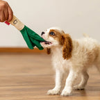 Brinquedo Puppy Interativo Escola dos Vegetais Cebolinha Qmonster