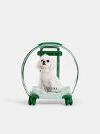 Vetreska Bubble Pet Carrier Green and Transparent - Mochila com Rodinhas