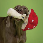 Qmonster Brinquedo para cachorro - Cogumelo Vermelho Curioso
