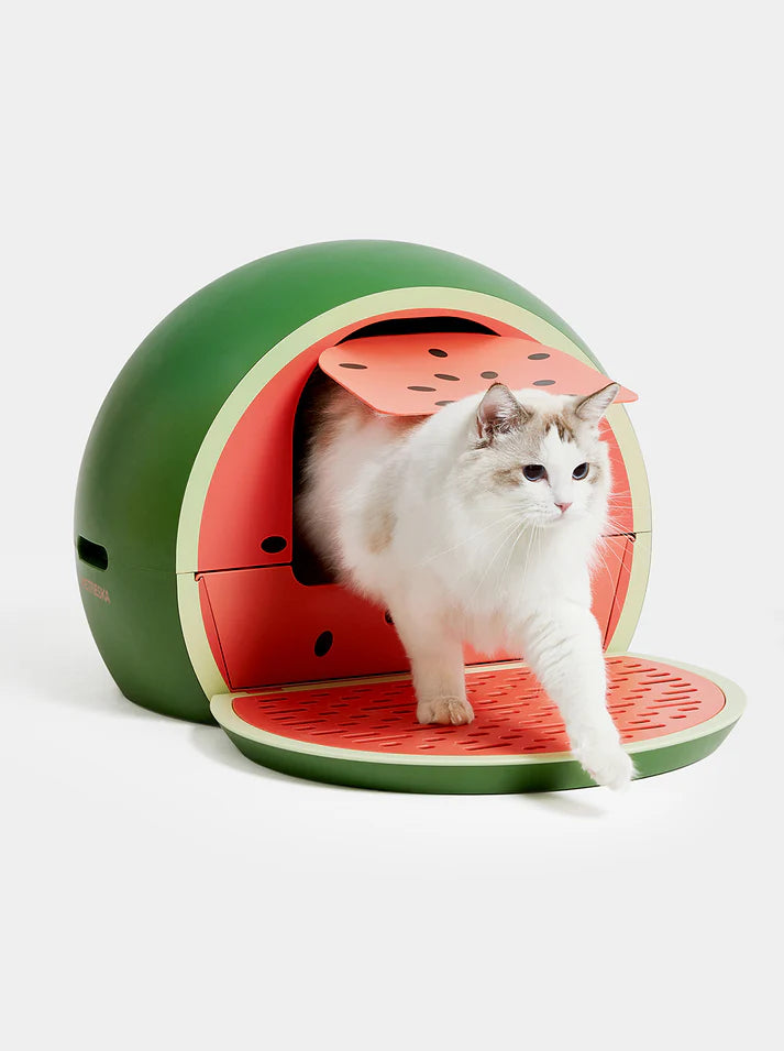 Vetreska Watermelon Kitty Kove - Caixa de Areia Melancia para Gatos