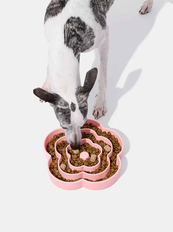 Vetreska Flora Silicone Pet Comedouro Lento para Cachorro