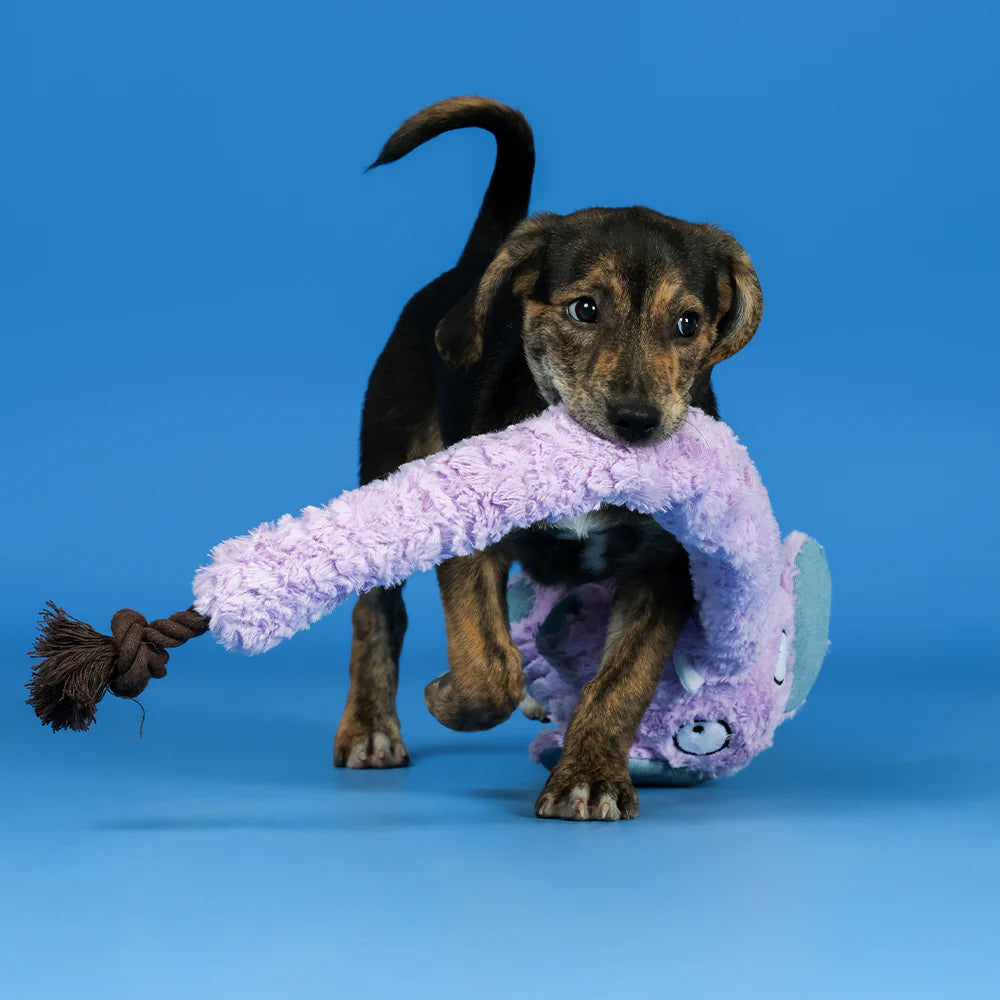 Qmonster Brinquedo para cachorro - Elefante de Tromba Longa - Roxo