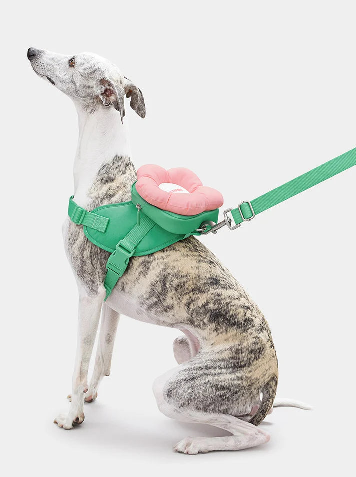Vetreska Flora Pet Backpack, Harness & Leash 3 In 1 Set Pet Flora - Conjunto Peitoral, Mochila e Guia