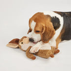 FOFOS Brinquedos para Cães – Reino Selvagem – Lebre