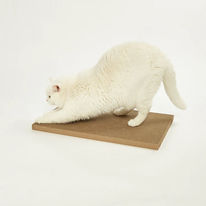 Arranhador de Papelão Lata de Sardinha FOFOS