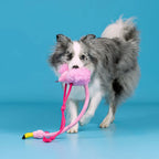 Brinquedo Interativo com Corda Flamingo Rosa Qmonster