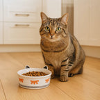 Tigela Venere Ferplast para Gatos