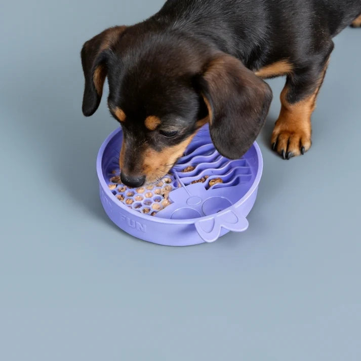 Comedouro Lento de Silicone para Pets Coelho QMonster