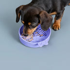Comedouro Lento de Silicone para Pets Coelho QMonster