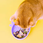 Comedouro Lento de Silicone para Pets Coelho QMonster