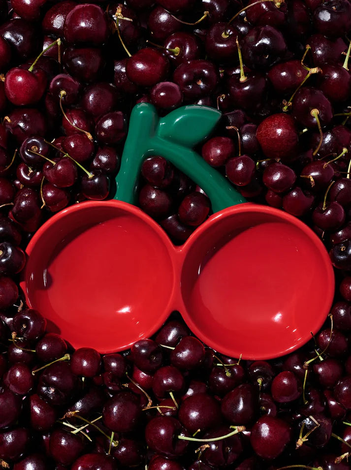 Vetreska Cherry Ceramic Pet Bowl - Tigela de Cerâmica para Gatos