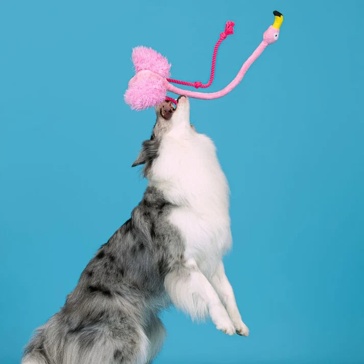 Brinquedo Interativo com Corda Flamingo Rosa Qmonster
