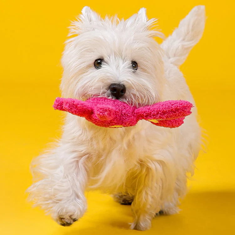 Pelucia Para Cães PETTA - Qmonster Festa Peluda Coelho