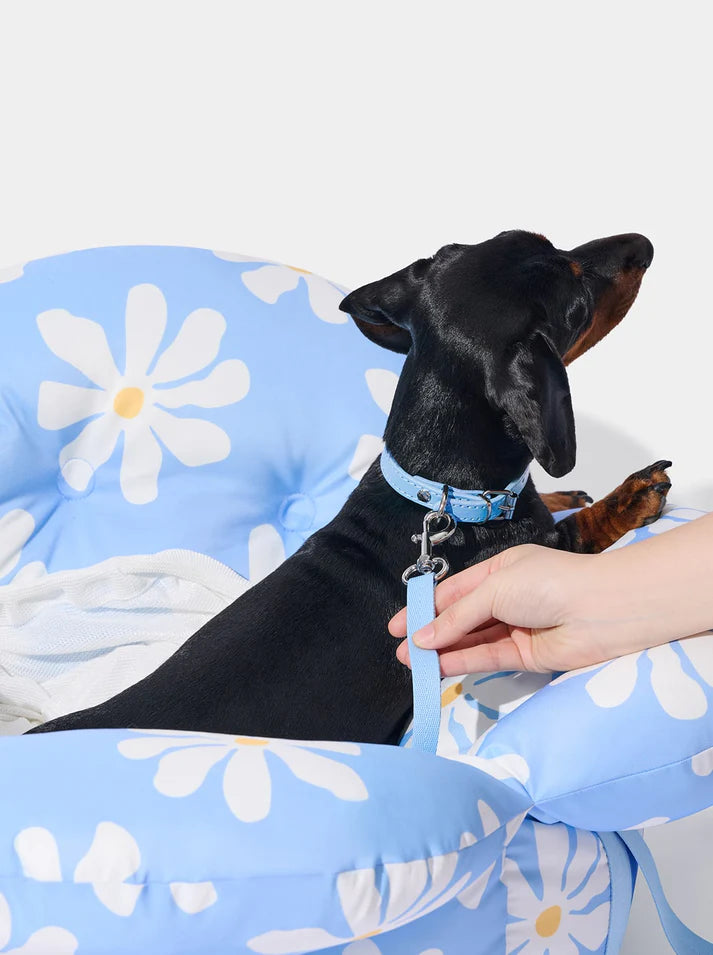 Vetreska Daisy Car Seat Pet Carrier - Bolsa de Viagem para Carro