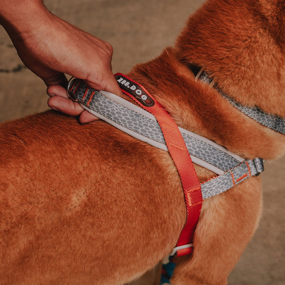 Peitoral Antipuxão SofterWalk para Cachorros Reebok Suede