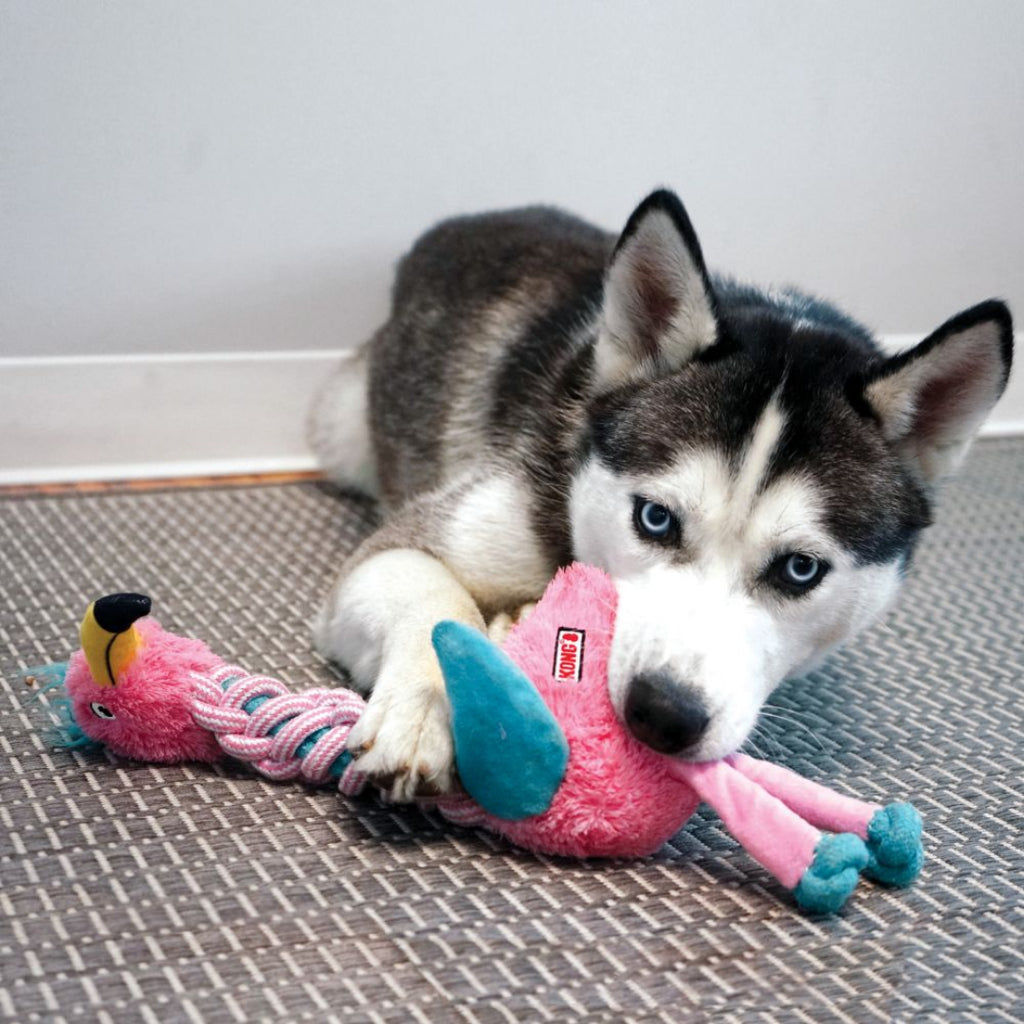 Kong Knots Twists Assorted Girafa/Flamingo - Brinquedo para cachorro