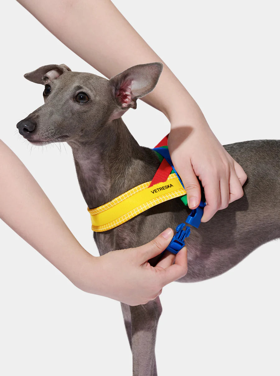 Vetreska Chroma Yellow Pet Harness & Leash Pet - Conjunto Peitoral e Guia
