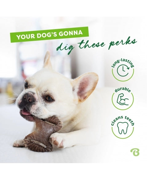 Benebone Tiny 2 Pack Bacon - Mordedor para cachorro