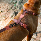 Peitoral H Naturals Cocoa Zee.Dog