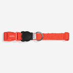 Coleira para Cachorros Fuse Grid Zee.Dog