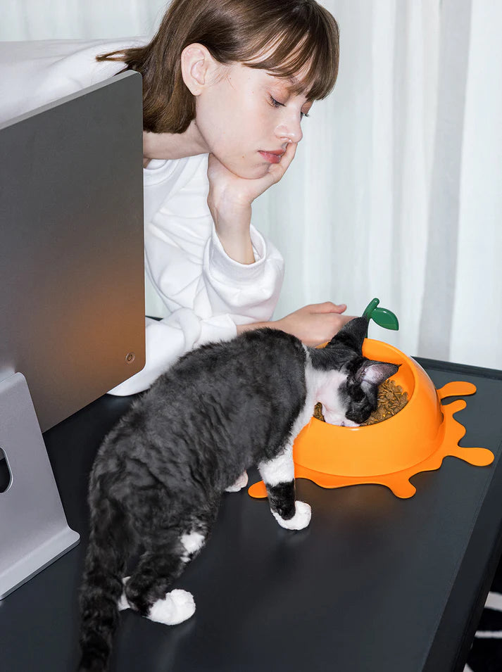 Vetreska Juicy Tangerine Pet Bowl, Spoon & Mat Set Bowl - Comedouro para Cães e Gatos