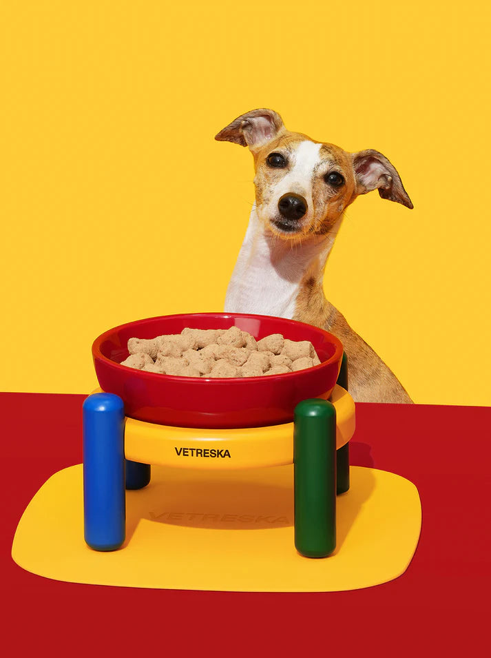 Vetreska Tigela de Cerâmica Chroma Para Cães e Gatos