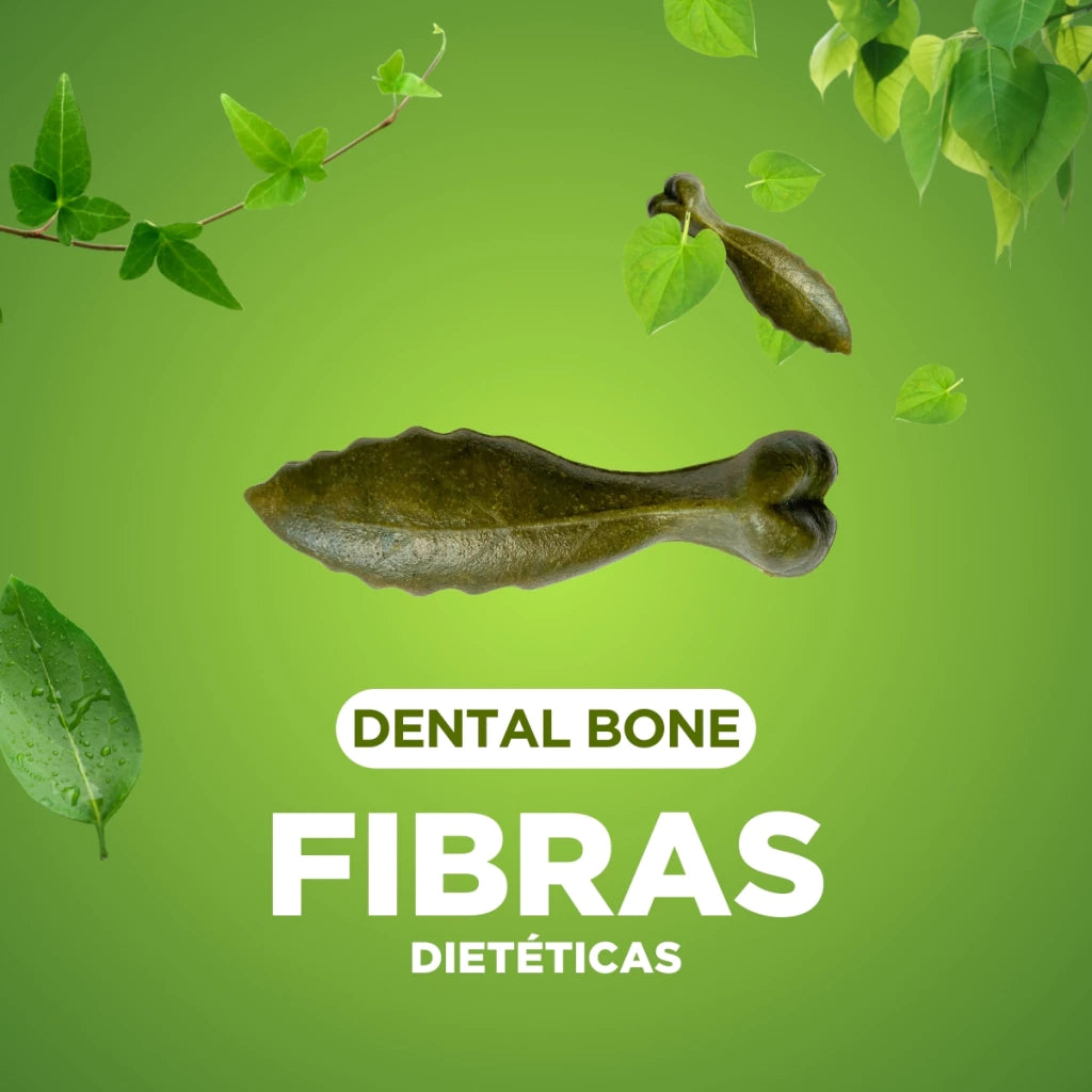 Dental Bone Petisco Natural Proteção Bucal para cães - P
