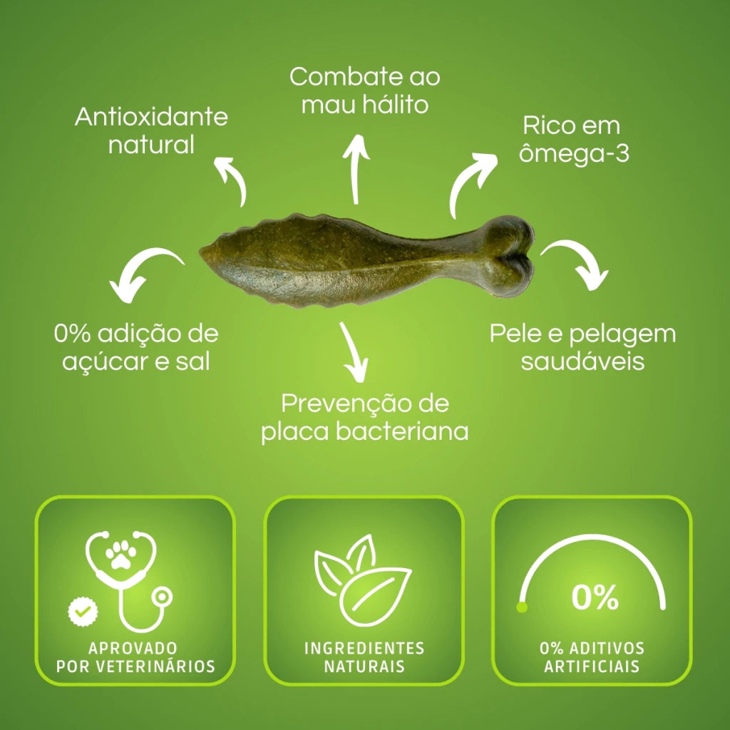 Dental Bone Petisco Natural Proteção Bucal para cães - P