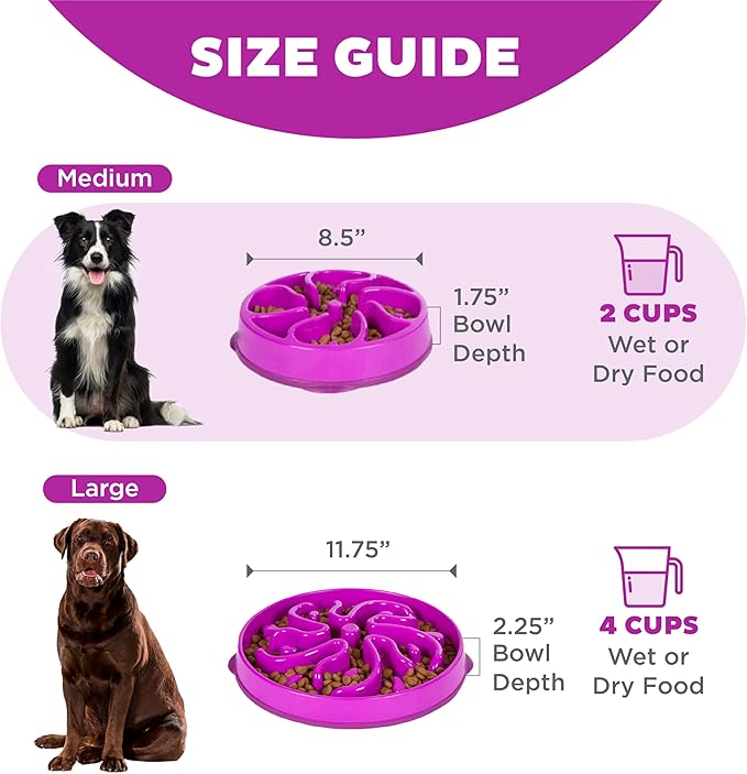 Outward Hound Fun Feeder Slo Bowl Roxo - Comedouro Lento M