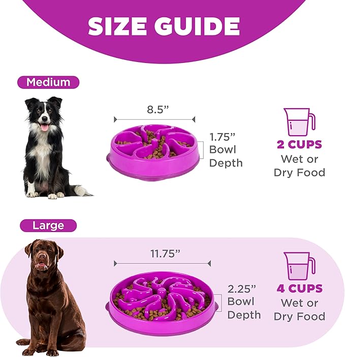 Outward Hound Fun Feeder Slo Bowl Roxa - Comedouro Lento G